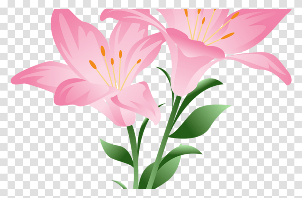 Daisy Clipart Living Thing Daisy Living Thing Pink Lily Flower, Plant, Blossom, Bird, Animal Transparent Png
