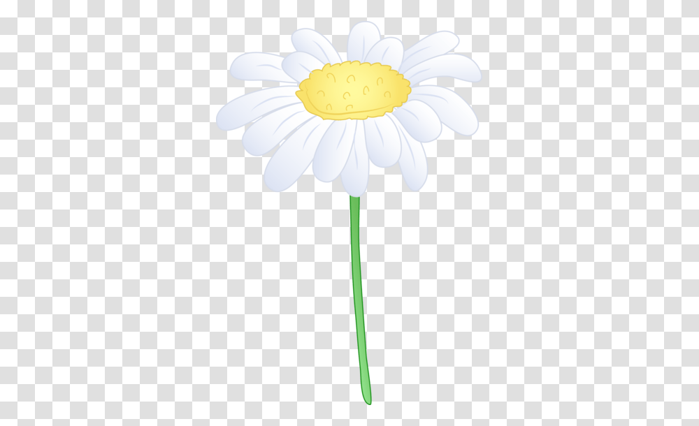 Daisy Clipart Margarita Flower, Plant, Blossom, Daisies, Anther Transparent Png