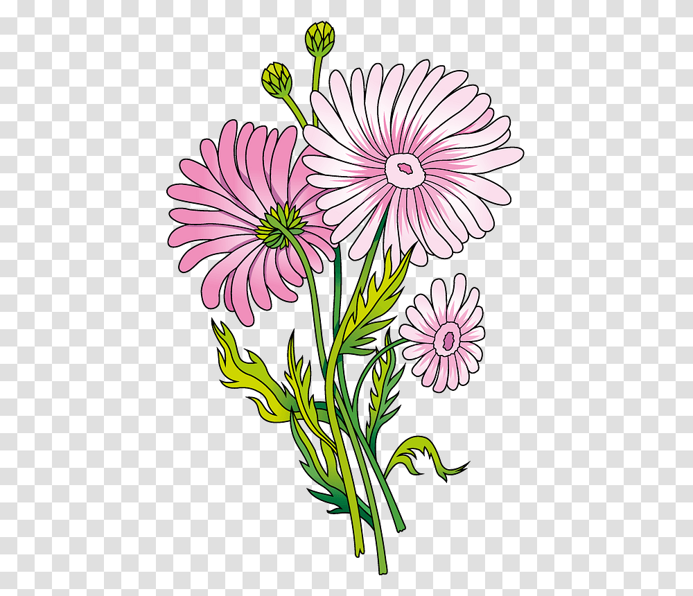 Daisy Clipart Marguerite Daisy, Floral Design, Pattern, Flower Transparent Png
