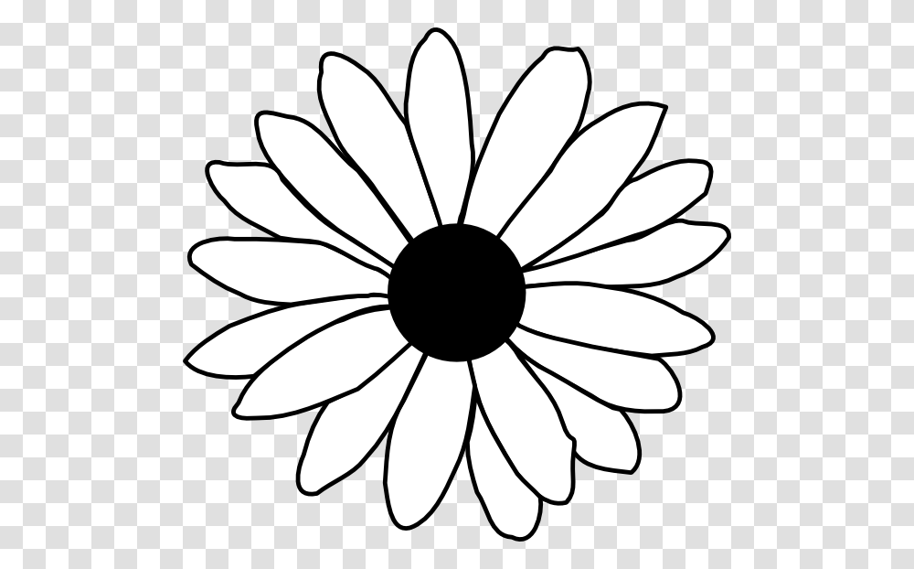 Daisy Cliparts, Flower, Plant, Daisies, Blossom Transparent Png