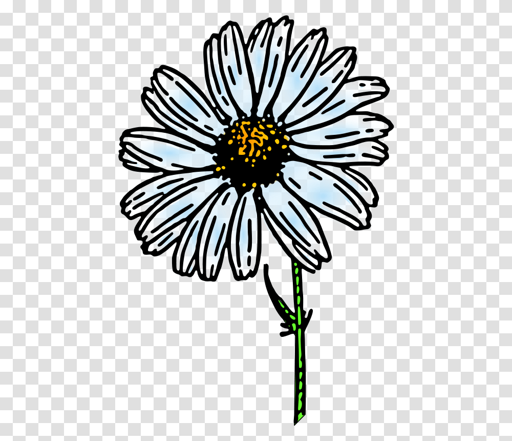 Daisy Colored, Nature, Plant, Pollen Transparent Png