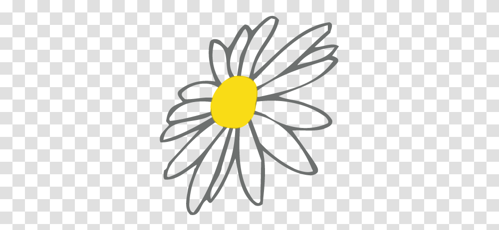 Daisy Dig'ins Daisy, Plant, Flower, Blossom, Daisies Transparent Png