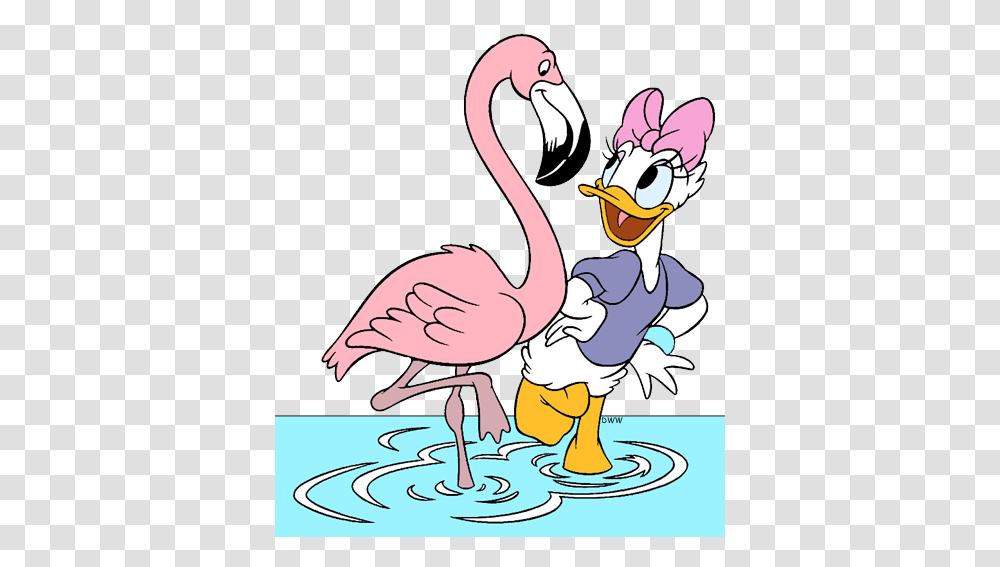Daisy Duck Clip Art Disney Clip Art Galore, Animal, Flamingo, Bird, Painting Transparent Png
