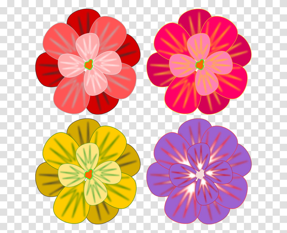Daisy Familychrysanthsplant, Dahlia, Flower, Blossom, Floral Design Transparent Png