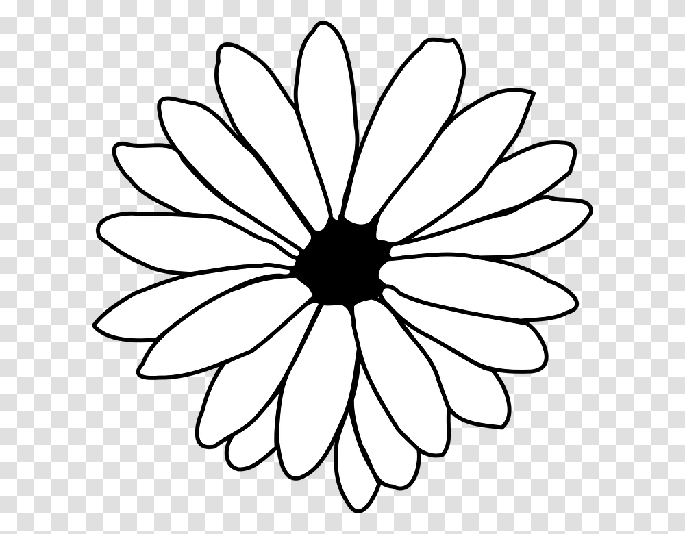 Daisy Flower Black And White Clipart, Plant, Daisies, Blossom, Petal Transparent Png