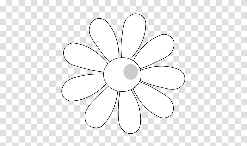 Daisy Flower Black White, Texture, Plant, Daisies, Blossom Transparent Png