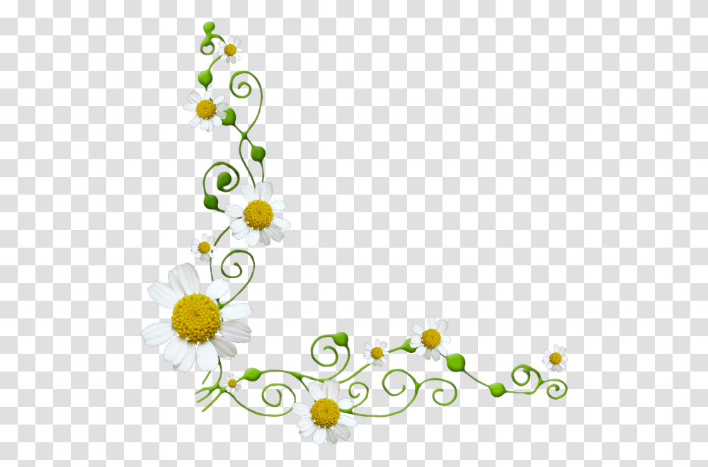 Daisy Flower Border, Floral Design, Pattern Transparent Png