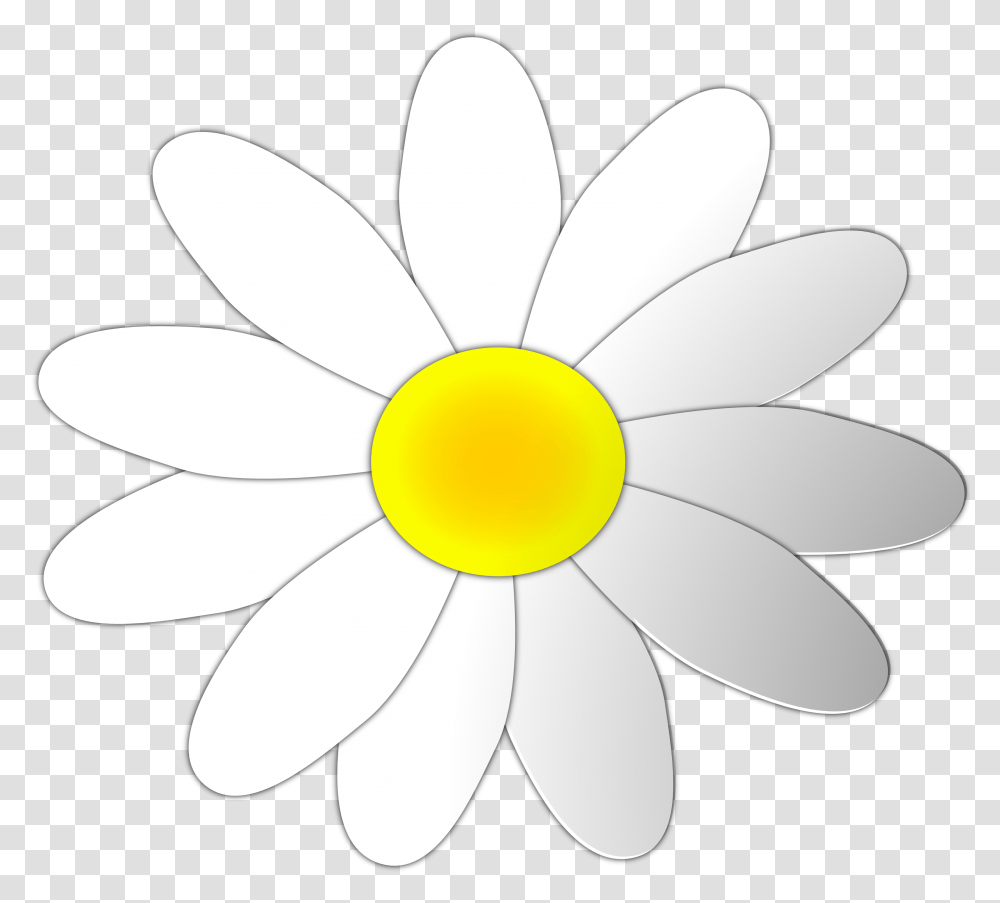 Daisy Flower Clip Art Clipart Free Download Harold And Maude Art, Plant, Daisies, Blossom, Petal Transparent Png