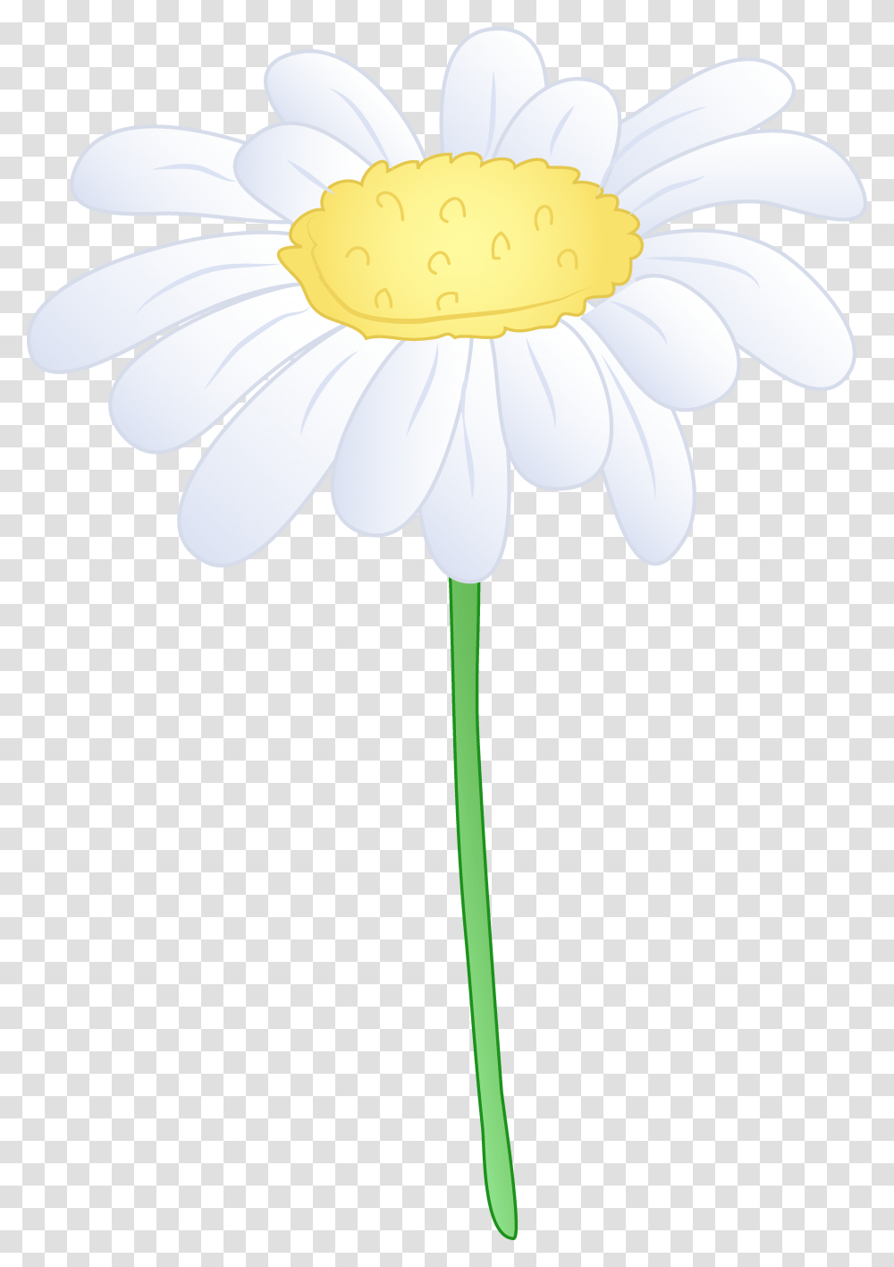 Daisy Flower Clip Art, Plant, Blossom, Daisies, Anther Transparent Png