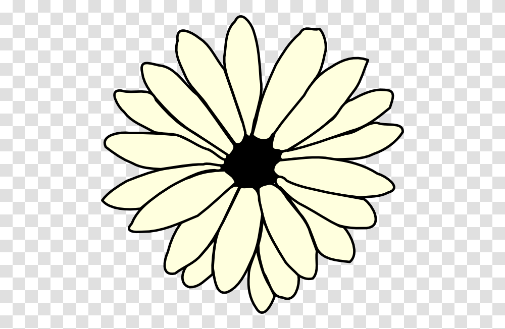 Daisy Flower Clipart Black And White, Plant, Daisies, Blossom, Petal Transparent Png