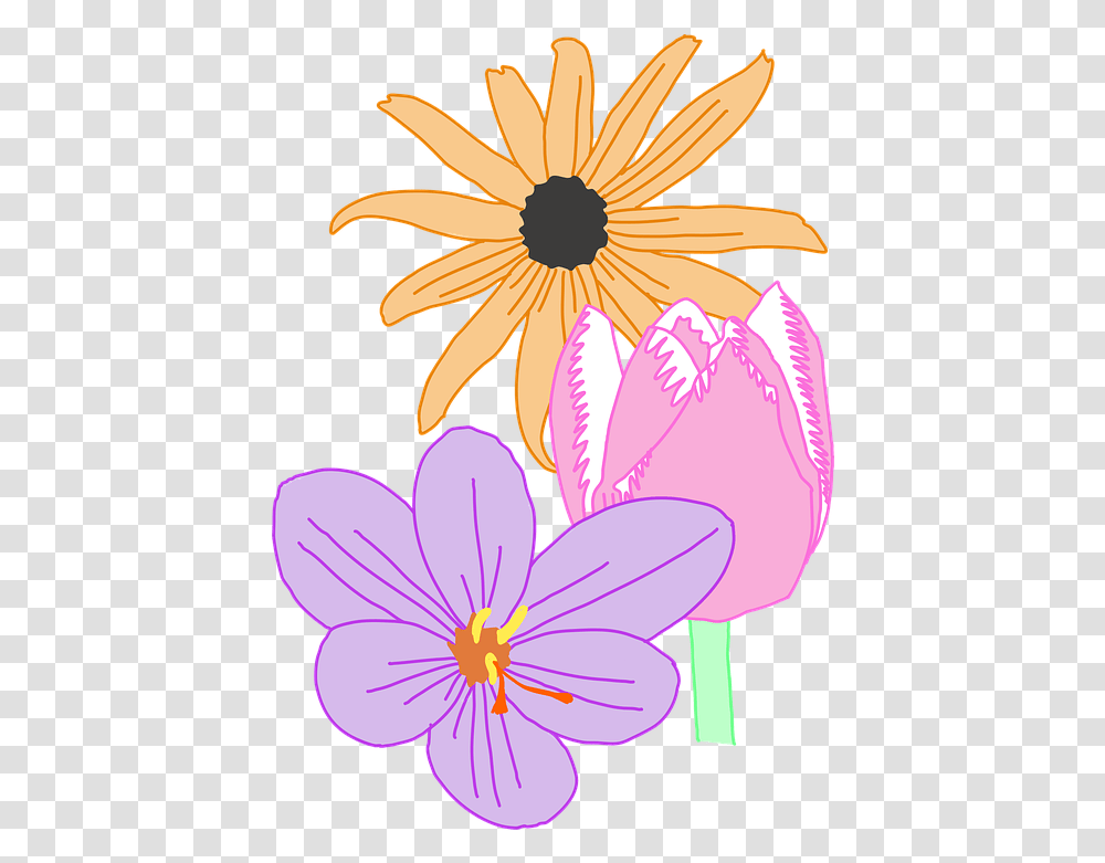 Daisy Flower Nature Free Vector Graphic On Pixabay Susan, Plant, Blossom, Petal, Daisies Transparent Png