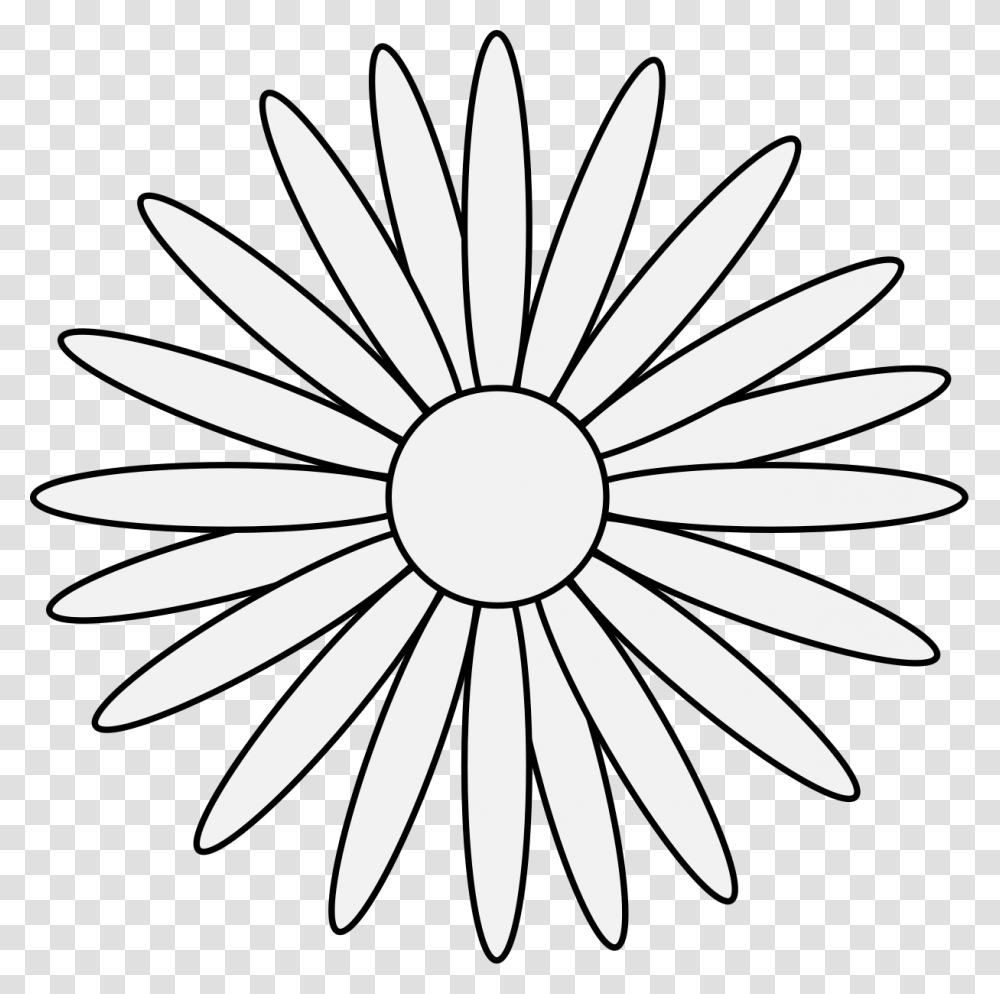 Daisy, Flower, Plant, Daisies, Blossom Transparent Png