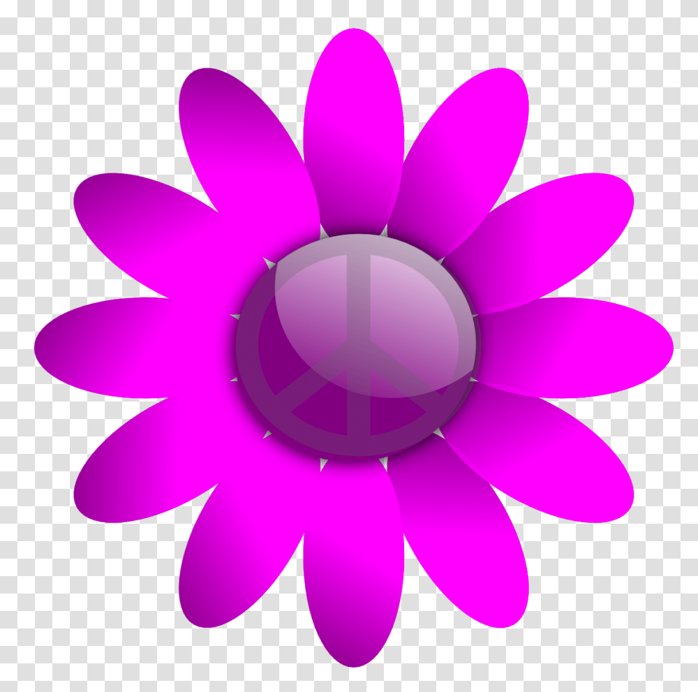 Daisy, Flower, Plant, Daisies Transparent Png