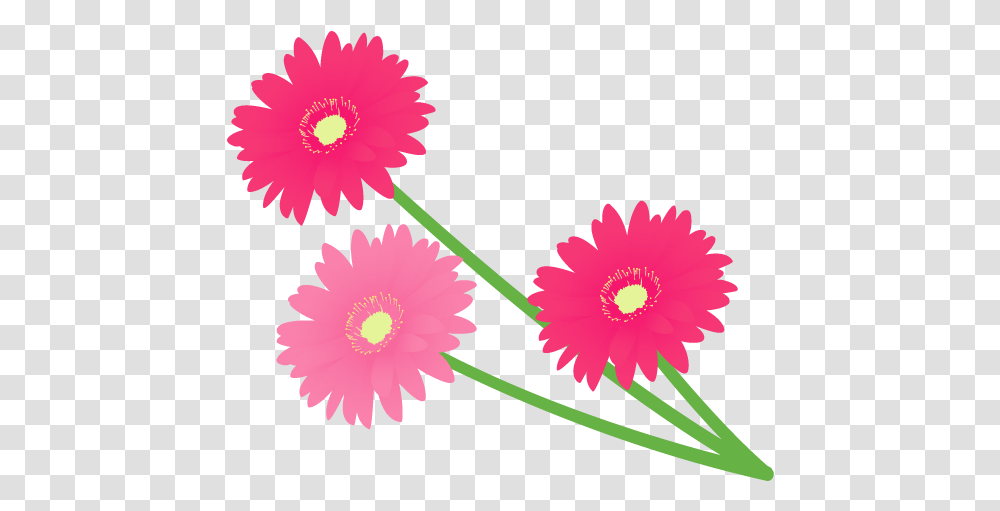 Daisy, Flower, Plant, Daisies Transparent Png