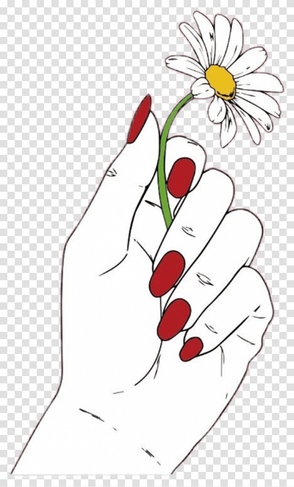 Daisy Flower Red Hand Nails White Draw Tumblr Hand Holding Flower Drawing, Plant, Blossom, Finger Transparent Png