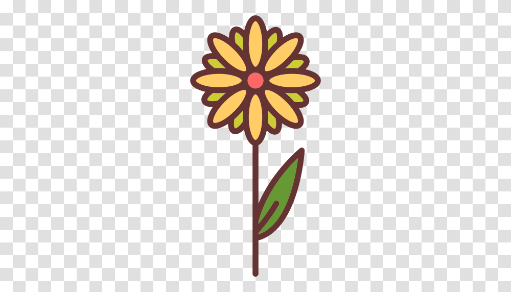 Daisy Icon, Lamp, Floral Design, Pattern Transparent Png