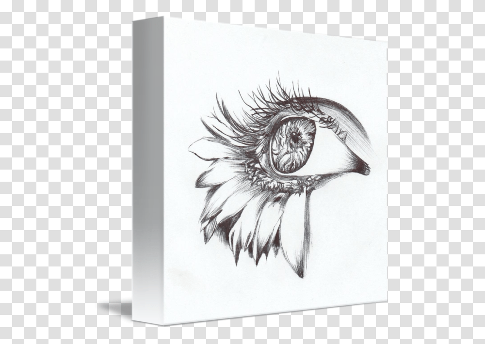 Daisy Lashes By Autumn Sketch, Drawing, Bird, Animal Transparent Png