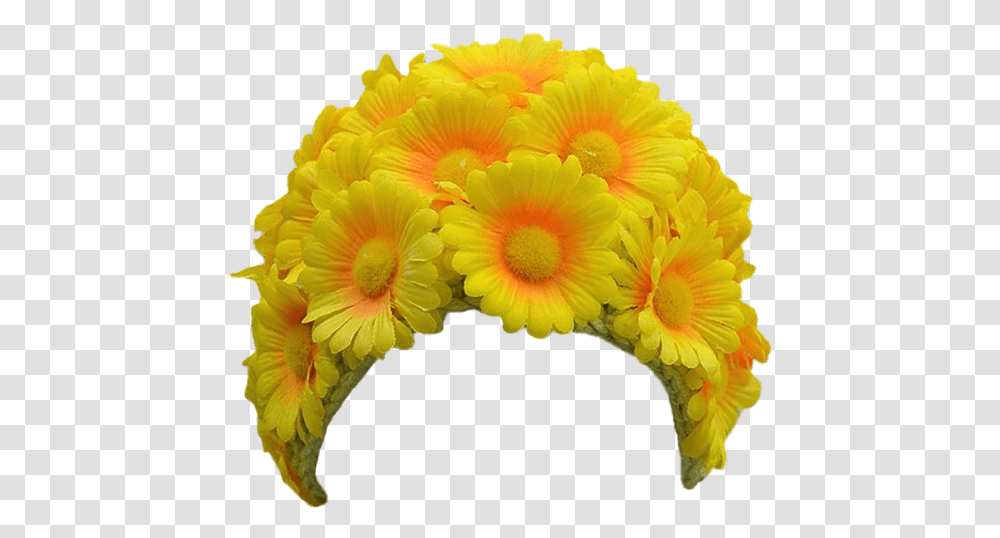 Daisy Marigold Head Crown Sticker By Bibek Kumar Shah Flower Hair Band, Plant, Blossom, Daisies, Petal Transparent Png