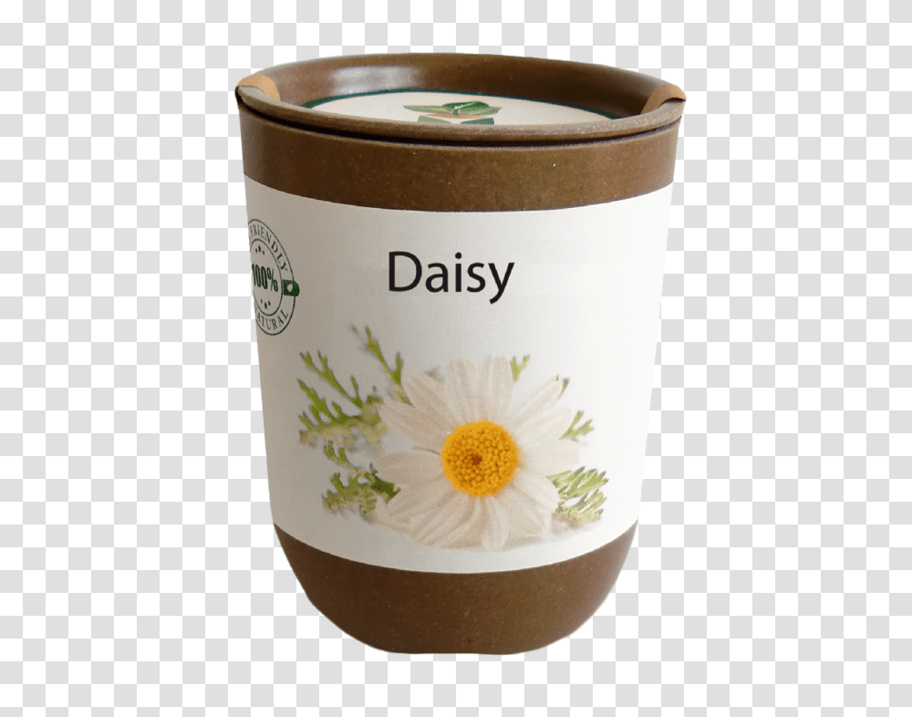 Daisy, Milk, Beverage, Sweets, Food Transparent Png