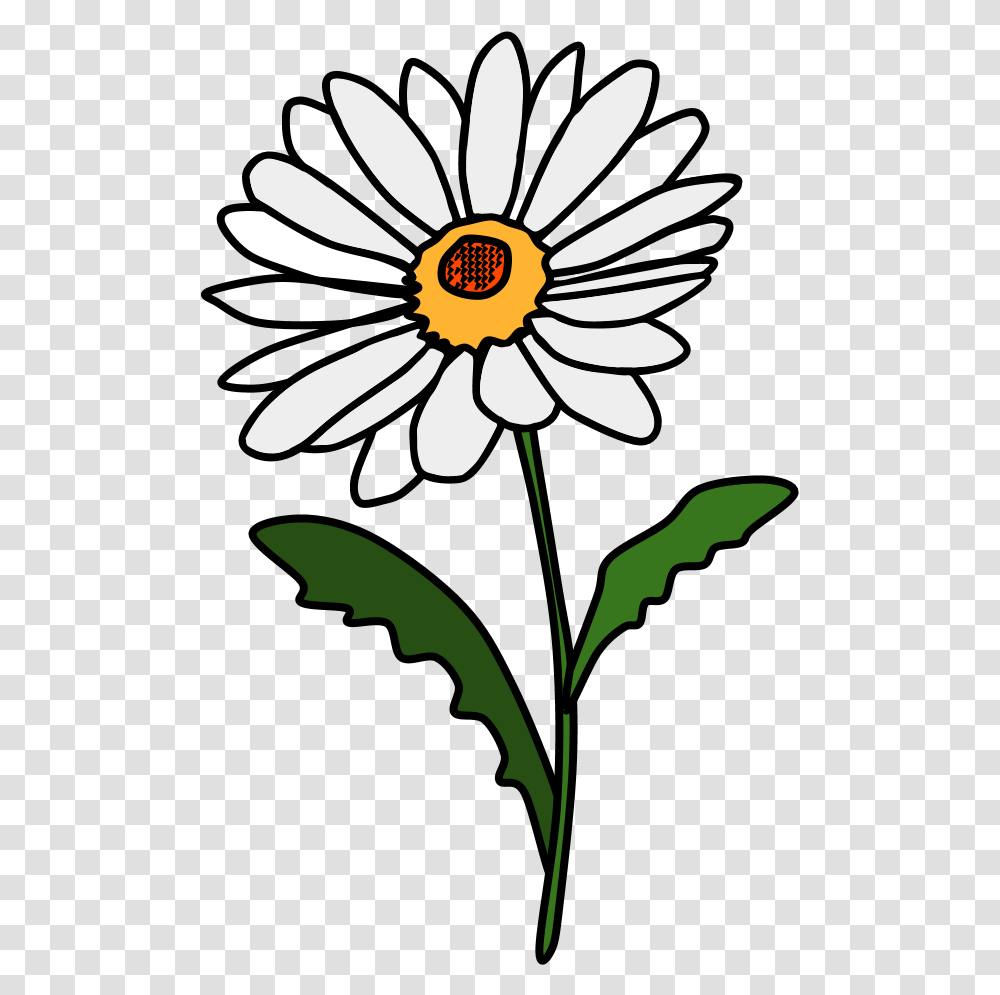 Daisy Petals White Red Daisy Clip Art, Plant, Flower, Blossom, Daisies Transparent Png