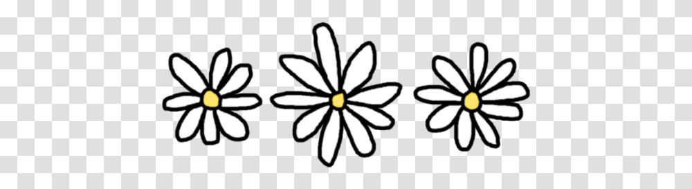 Daisy, Plant, Flower, Blossom, Daisies Transparent Png
