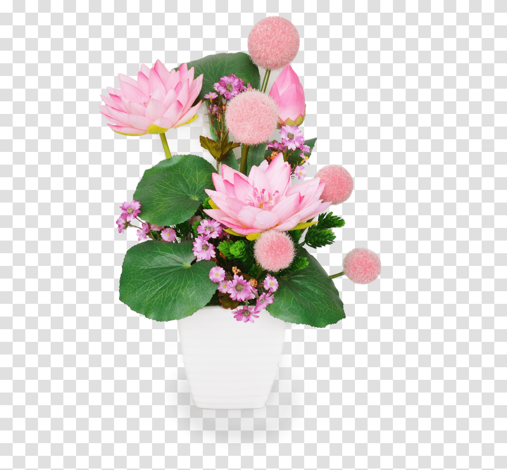 Daisy, Plant, Flower, Blossom, Flower Arrangement Transparent Png