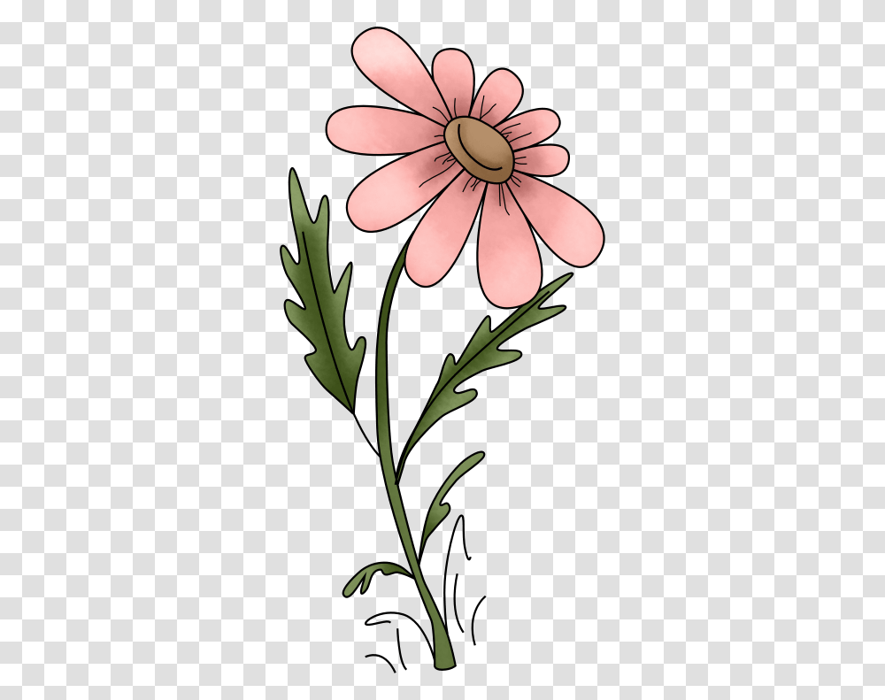 Daisy, Plant, Flower, Blossom, Leaf Transparent Png