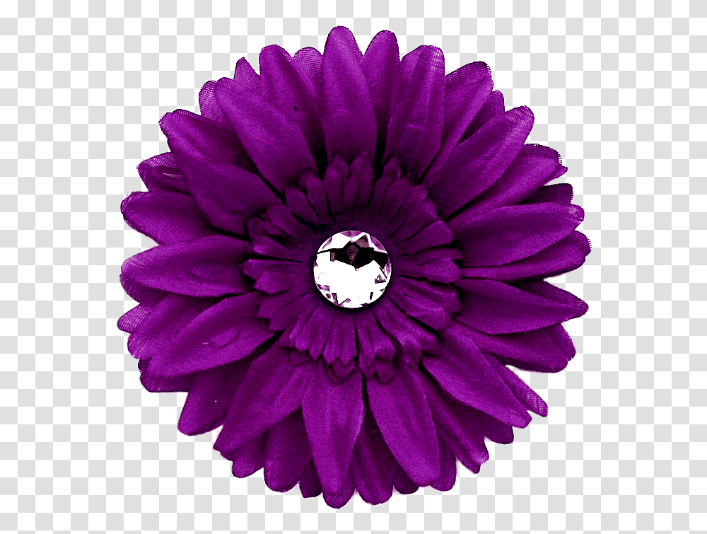 Daisy Purple Image With Background Arts Daisy Flower Red, Dahlia, Plant, Blossom, Rose Transparent Png