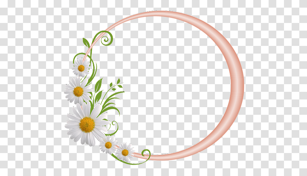 Daisy Silver Round Frame, Floral Design, Pattern Transparent Png