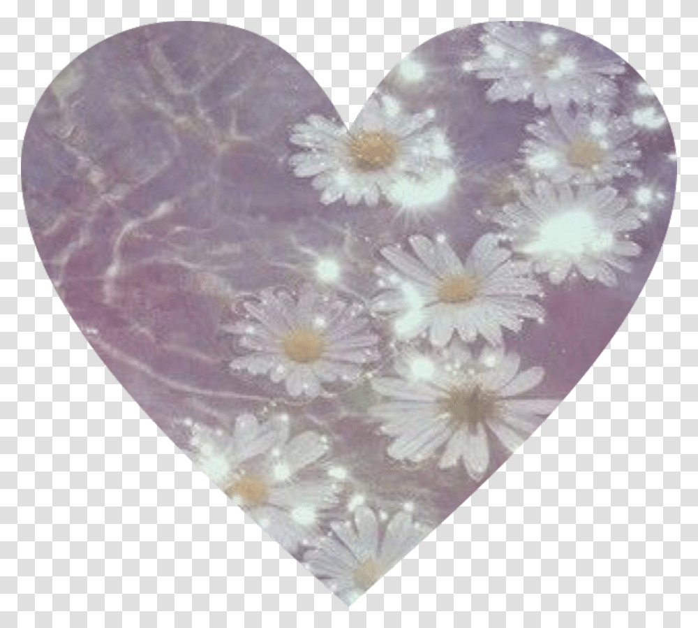 Daisy Tumblr Cute Cool Vibe Mood Tumblr Flowers In Water Aesthetic, Plectrum, Petal, Plant, Blossom Transparent Png