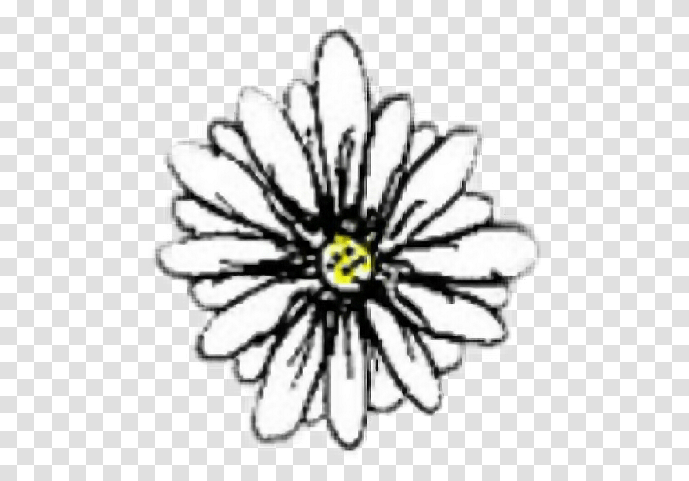 Daisy Tumblr Summer Aesthetic Tumblr Flower, Plant, Pattern, Blossom, Floral Design Transparent Png