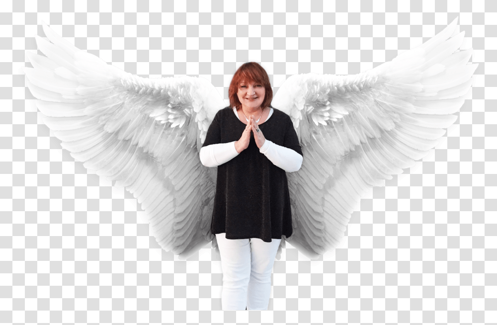 Daisy Wings Cut Out, Person, Human, Angel Transparent Png