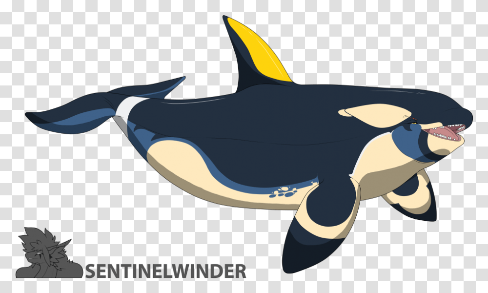 Dakota Orca Killer Whale, Sea Life, Animal, Mammal, Shark Transparent Png