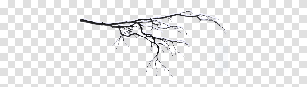 Dal Ramas Con Nieve, Plant, Root, Tree, Outdoors Transparent Png