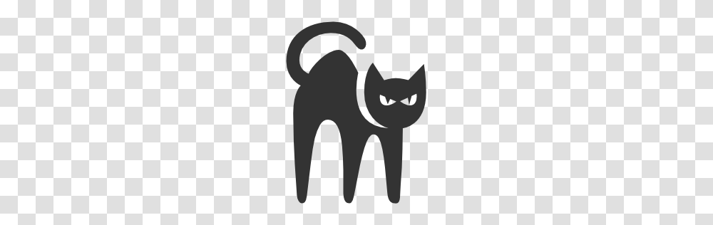 Dalk Icons, Black Cat, Pet, Mammal, Animal Transparent Png
