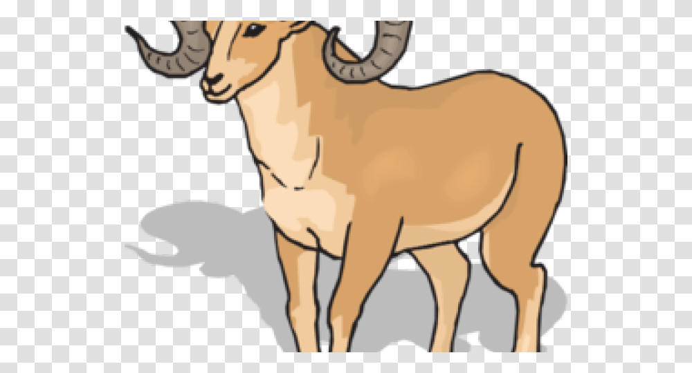 Dall Sheep Clipart, Mammal, Animal, Goat, Mountain Goat Transparent Png
