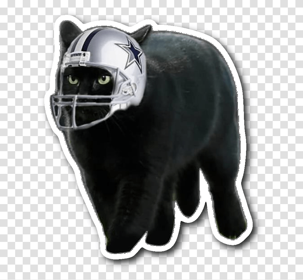 Dallas Cowboys Black Cat, Apparel, Helmet, Team Sport Transparent Png
