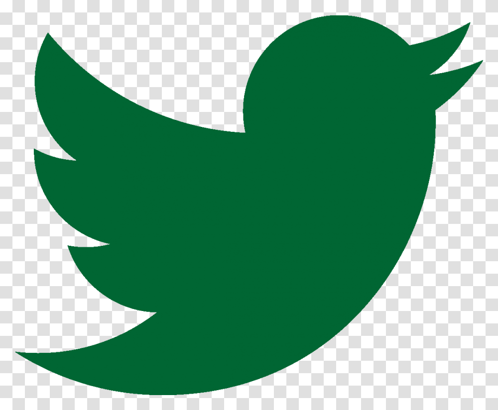 Dallas Green Official Twitter Logo Twitter Logo Preto, Plant, Symbol, Text, Shark Transparent Png