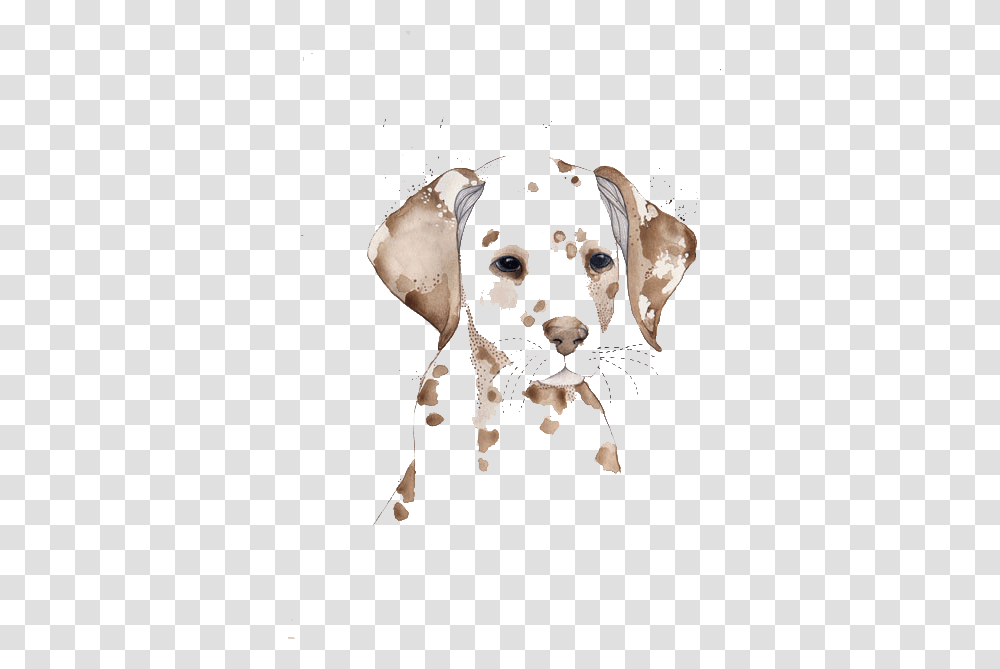 Dalmatian Dog Watercolor Painting Dogs To Water Watercolor, Bird, Animal, Cow, Mammal Transparent Png