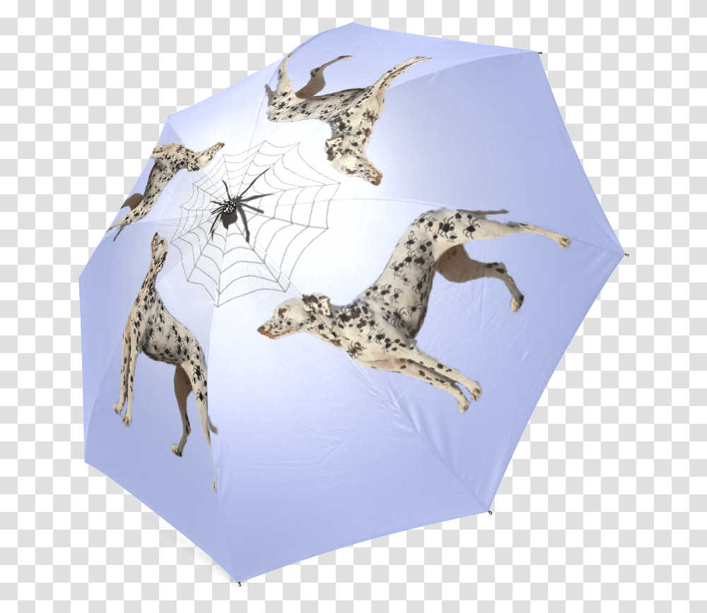 Dalmatian Funny Spider Spots Foldable Umbrella Giraffe, Wildlife, Mammal, Animal, Dog Transparent Png