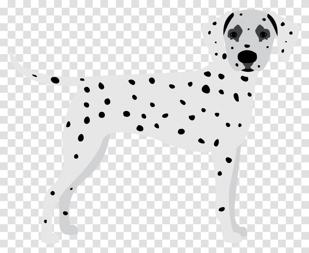 Dalmatian Image With No Background Dot, Texture, Animal, Canine, Mammal Transparent Png