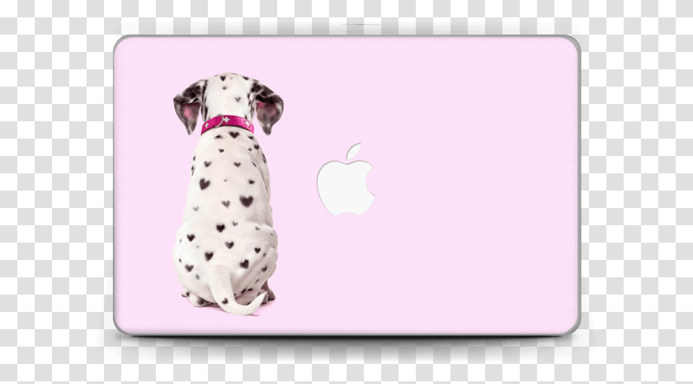 Dalmatian Love Skin Macbook Air 11 Fundas Iphone 8 Plus Dalmata, Dog, Pet, Canine, Animal Transparent Png
