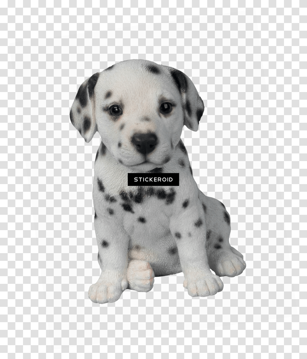 Dalmatian Puppy Pet Pal By Vivid Arts Download Dalmatian Puppy, Animal, Canine, Mammal, Dog Transparent Png