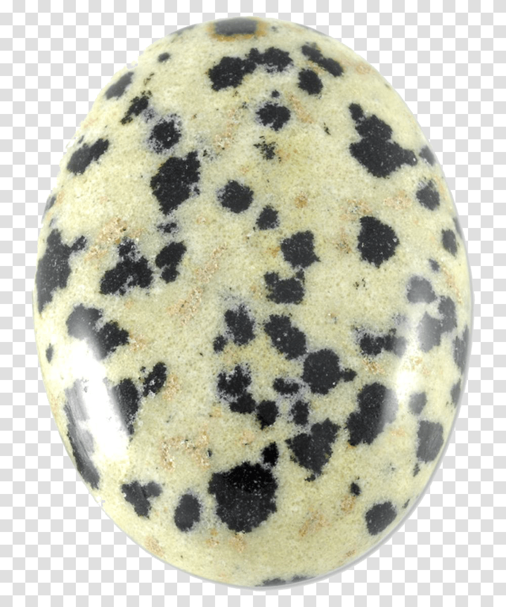 Dalmation Jasper Nirwaana Dalmatian, Moon, Outer Space, Night, Astronomy Transparent Png