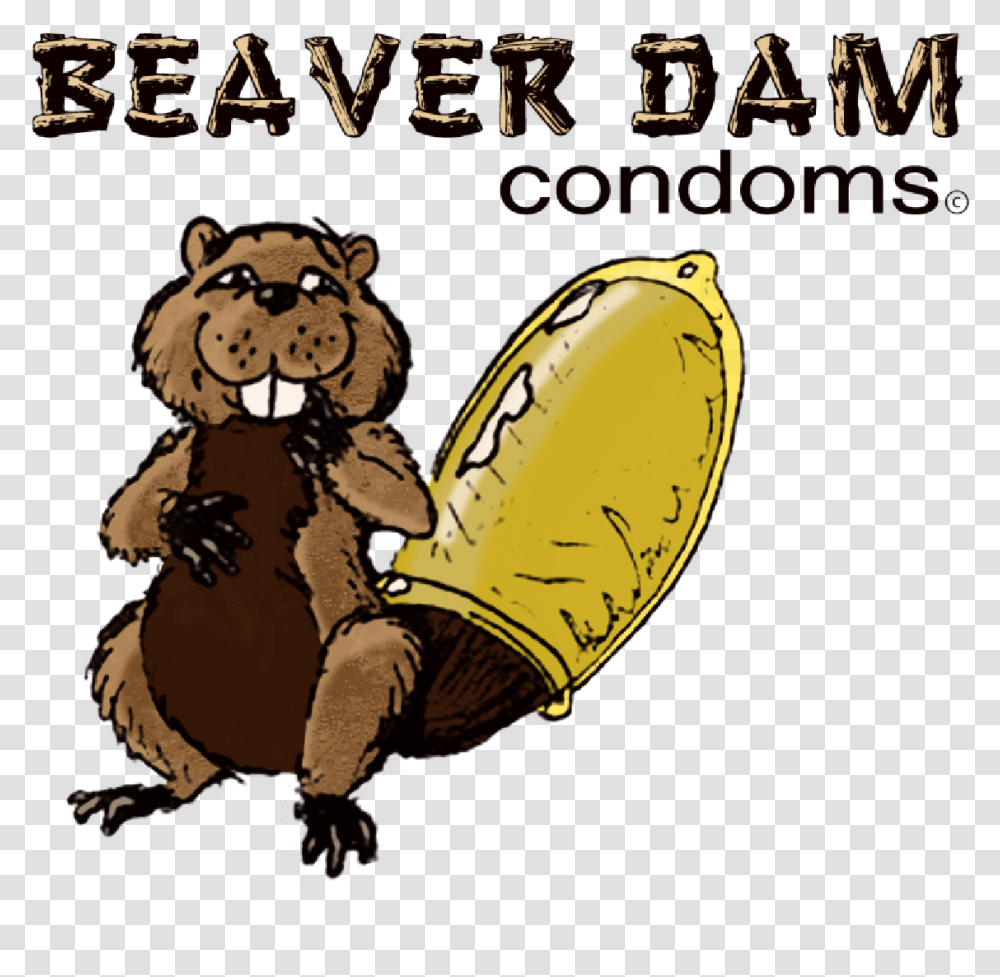 Dam Beaver Dam Condoms, Mammal, Animal, Wildlife, Rodent Transparent Png