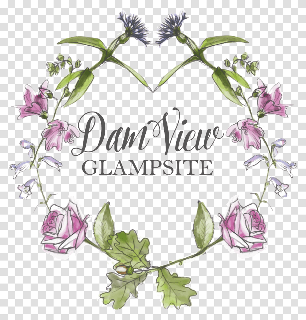 Dam View Glampsite Rosa Glauca, Plant, Flower, Blossom, Thistle Transparent Png