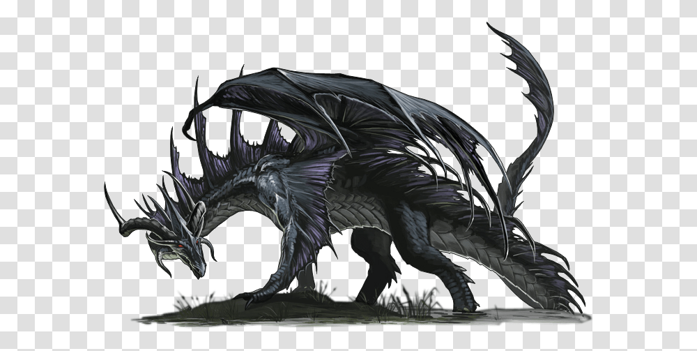 Dampd Black Dragon Art, Bird, Animal Transparent Png