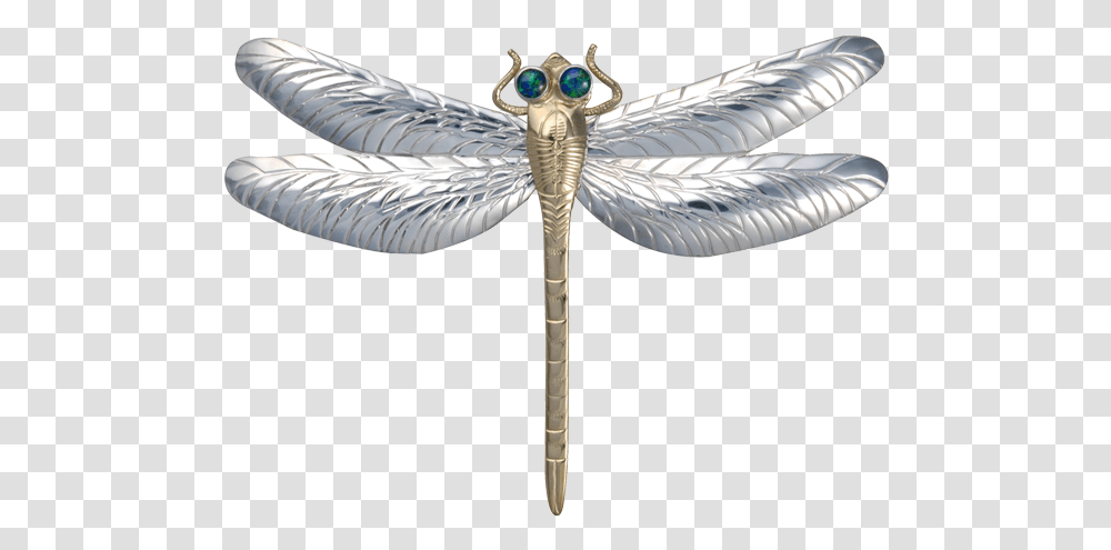 Damselfly, Dragonfly, Insect, Invertebrate, Animal Transparent Png