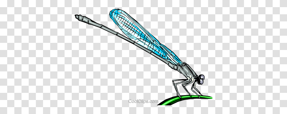 Damselfly Royalty Free Vector Clip Art Illustration, Insect, Invertebrate, Animal, Bow Transparent Png