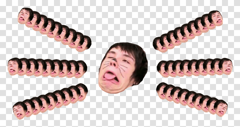 Dan And Phil Cat Whiskers, Jaw, Teeth, Mouth, Lip Transparent Png